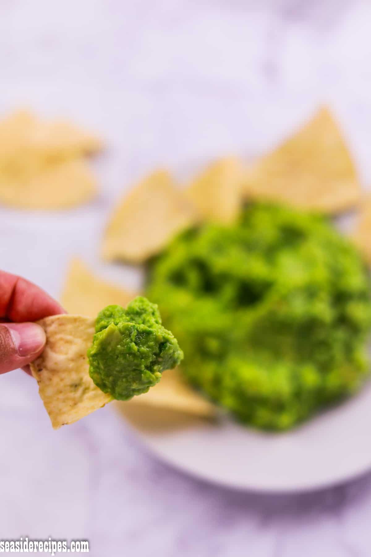 guacamole on chip