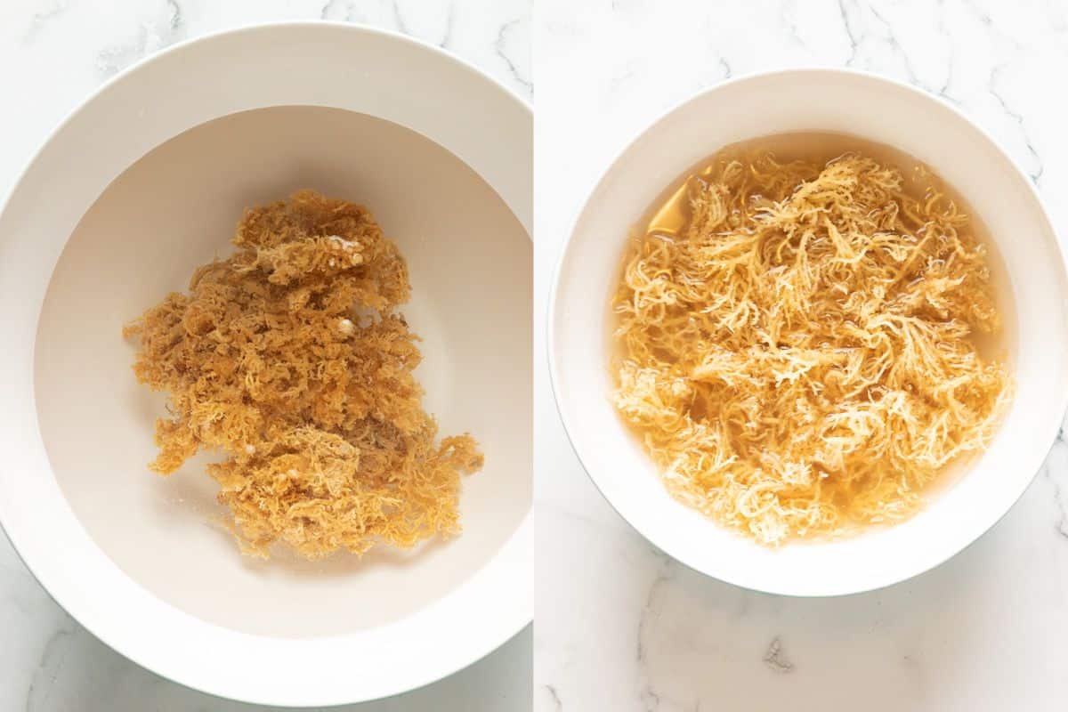 dried seaweed soaked in water on deep bowl.